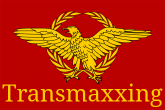 transmaxxing-flag.png