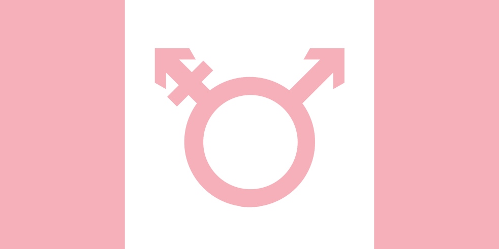 transmaxxing-flag2.png